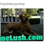 Dun dun dun dun