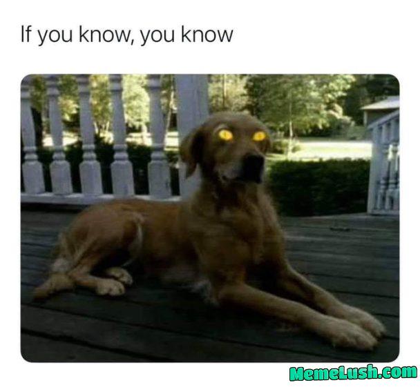 Dun dun dun dun Dun dun dun dun