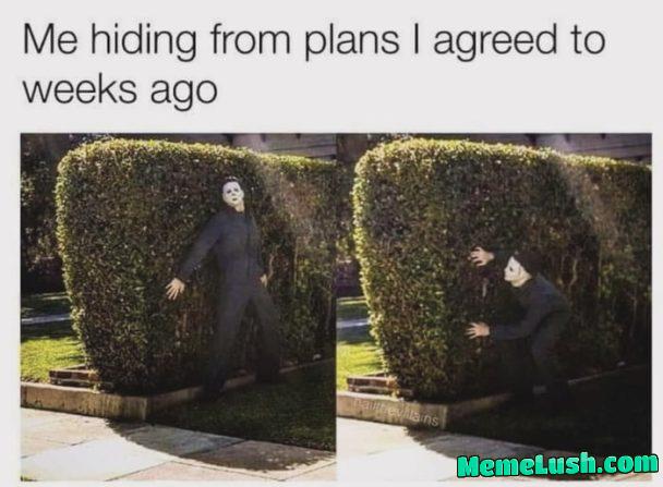 The introvert hide and seek…