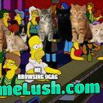 Everywhere I go, I see kittens.