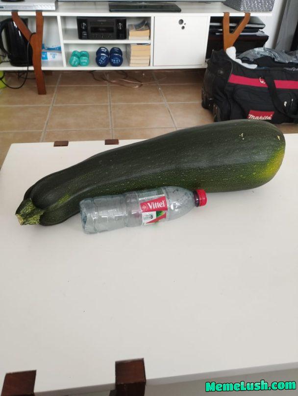 That vegetable That vegetable