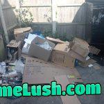 New neighbours moved in. This is how they left the communal rubbish area. Any passive aggressive revenge ideas are welcome.