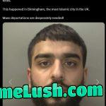 Do you really need to read the text to know what this “human” did?