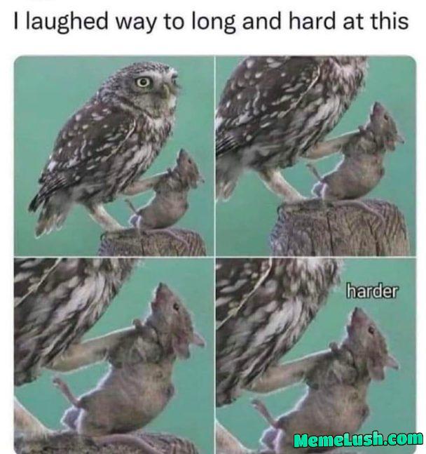 What’s for dinner y’all? What’s for dinner y’all?