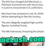 Another Pakistani Radical