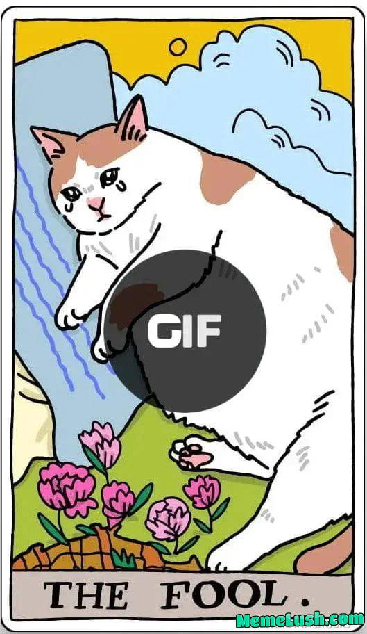 Man is a stupid animal Man is a stupid animal