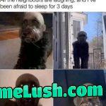WTF! tell me it’s fake right!?