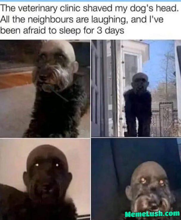 WTF! tell me it’s fake right!?