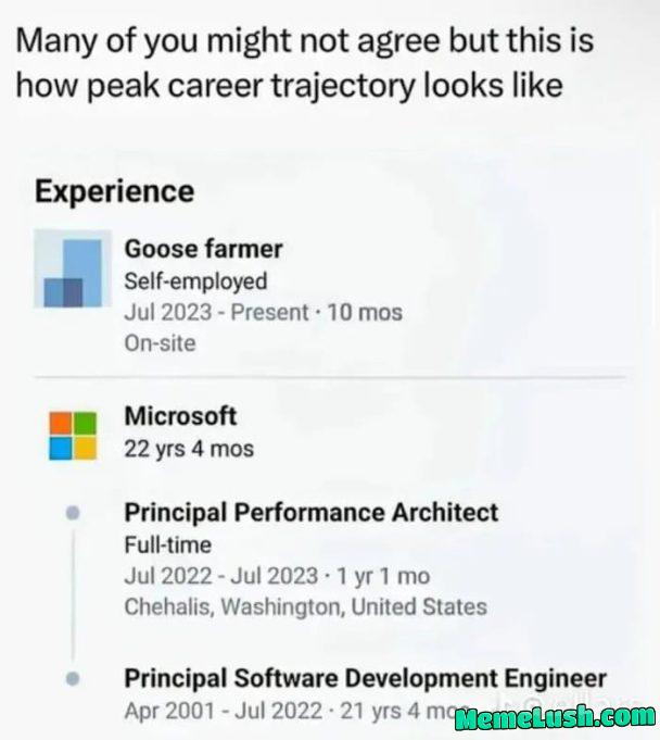 MakeLifeTuringComplete