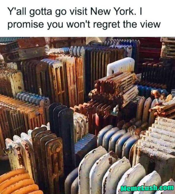 Knew your king Knew your king