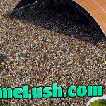 See your favorite artist live