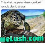 Why do we stop their party?