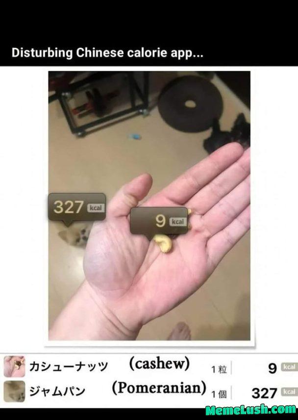 Disturbing Chinese calorie app…