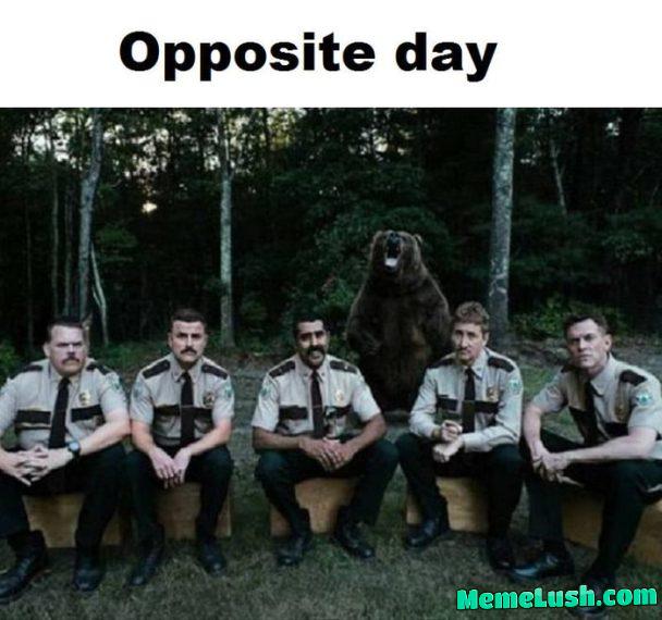 You won’t believe what happened next! You won’t believe what happened next!