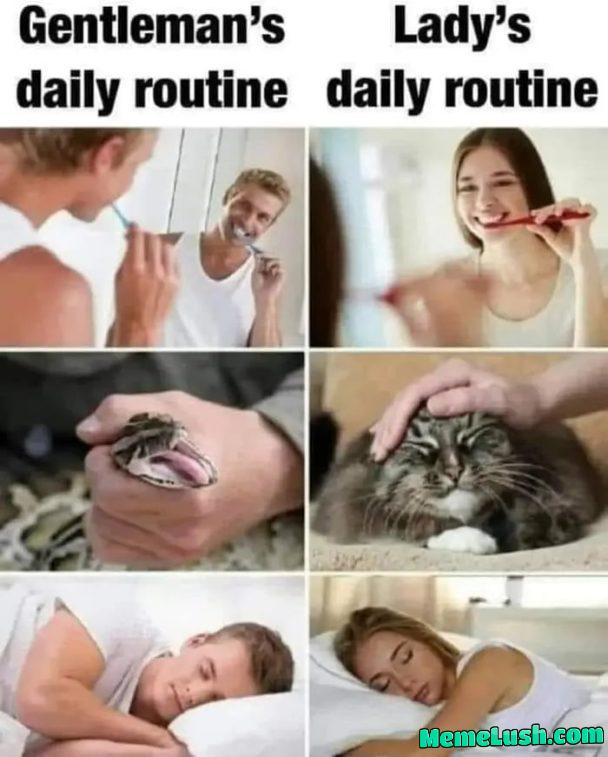 Men and women are the same!