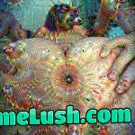 Theres no Adolf hidden in this picture, I swear!