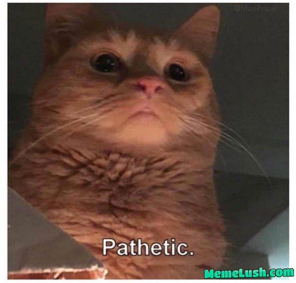 Gib me ur best pathetic meme