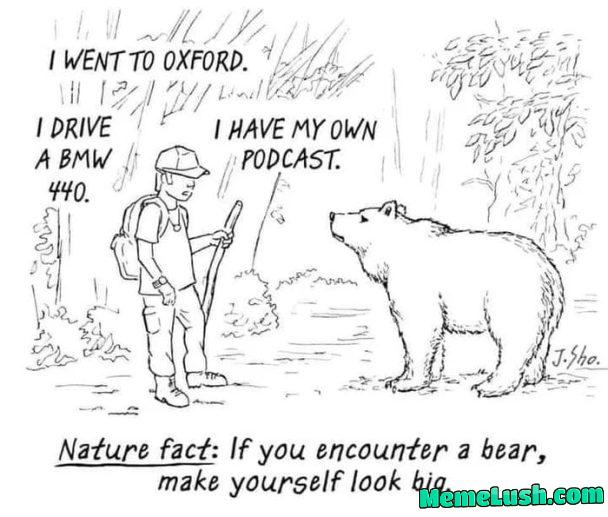 Should work. Should work.