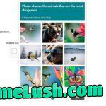 Do you think the sunglasses make the bear more or less dangerous?