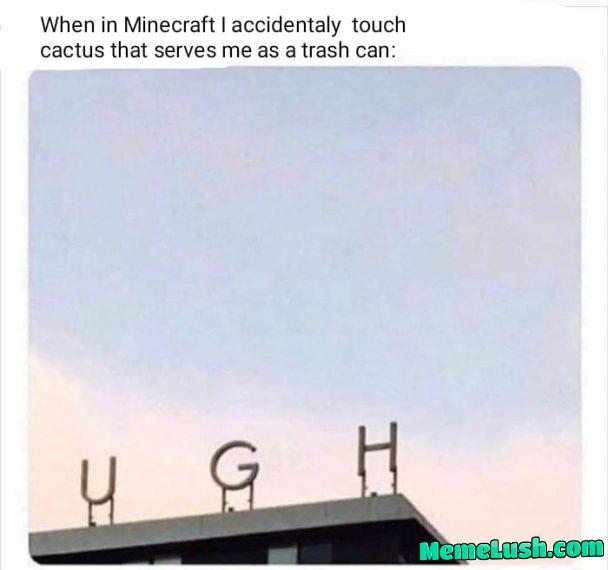 Interesting tit Interesting tit