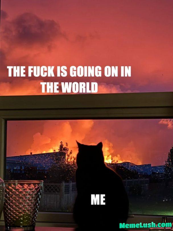 New template for you, fellow degenerates New template for you, fellow degenerates