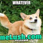 Can this replace “okay boomer” ?