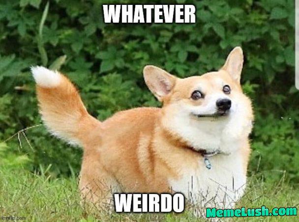 Can this replace “okay boomer” ? Can this replace “okay boomer” ?