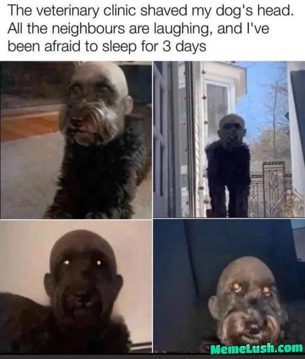 I know it’s not a meme – but holy f*ck I know it’s not a meme – but holy f*ck