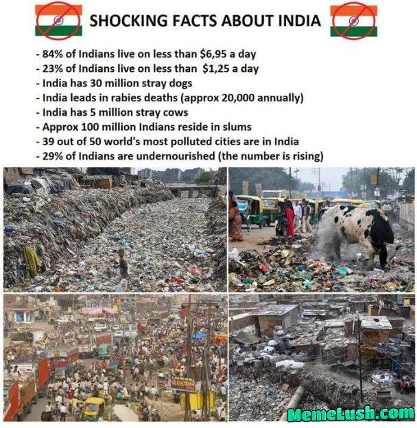 Supapawa2020 Supapawa2020