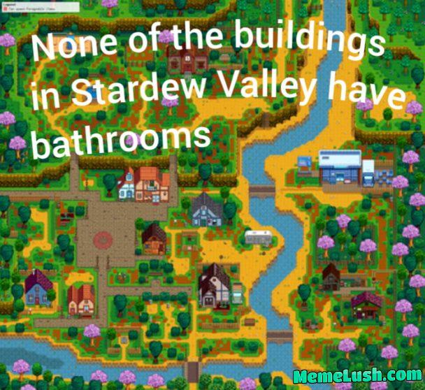 Did you notice… Did you notice…