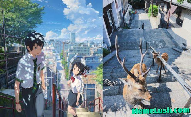 Deer’s name Deer’s name