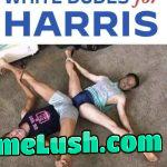 We love Harris!