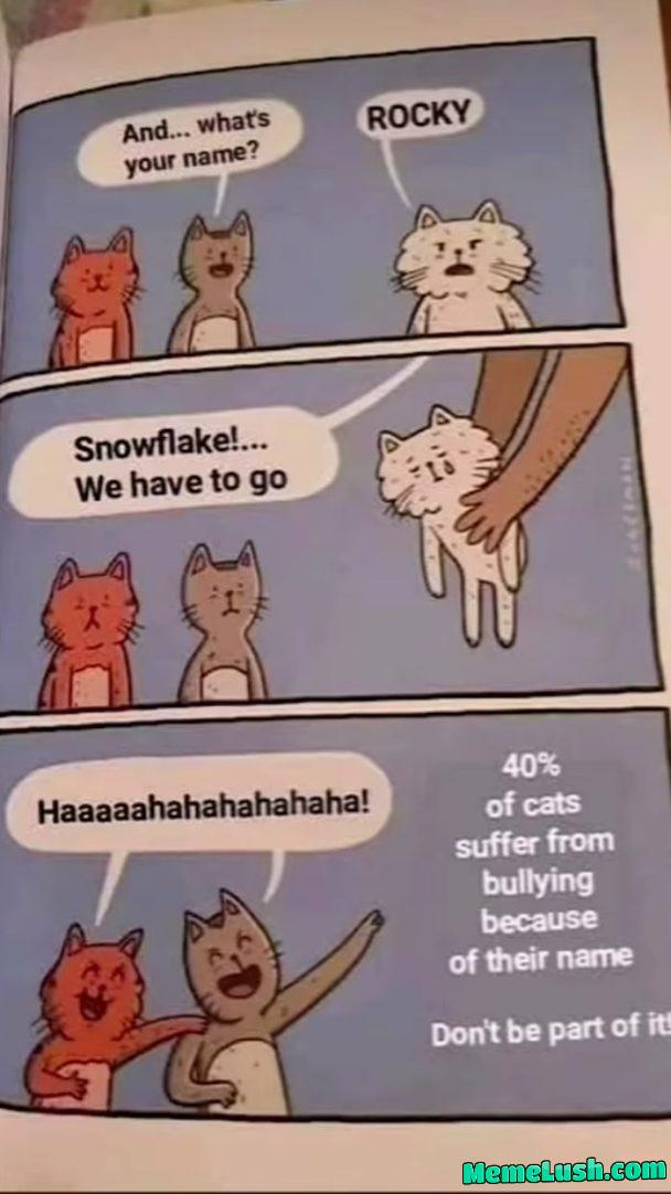 What’s your pet name?