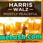 If you want the open borders and the wars to continue, mass crime and inflation! Vote for Harris!