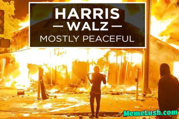 If you want the open borders and the wars to continue, mass crime and inflation! Vote for Harris!