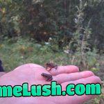 Found smol Wednesdays. Booped the snoots