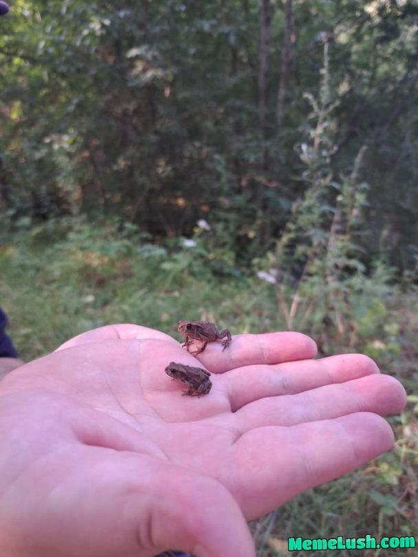 Found smol Wednesdays. Booped the snoots Found smol Wednesdays. Booped the snoots