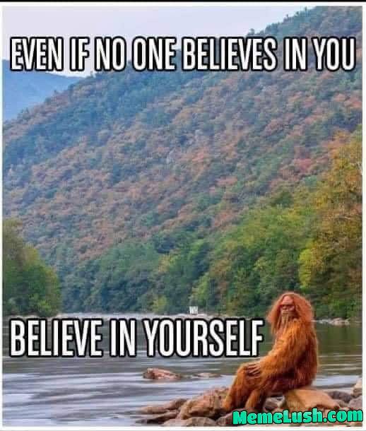 Reviving the long lost meme.