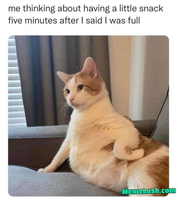 Need that sweet snack.