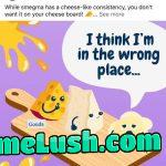 Australia’s Queensland Health single-handedly ruined cheese for everyone