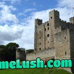 Siege of Rochester was cause of biggest hangover yet