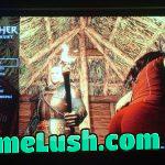 I play Witcher 3 for the story. The story: