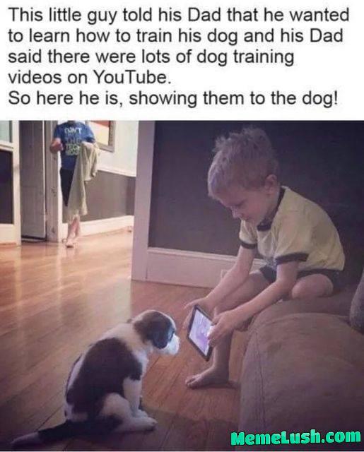 The dog is supportive, at least The dog is supportive, at least