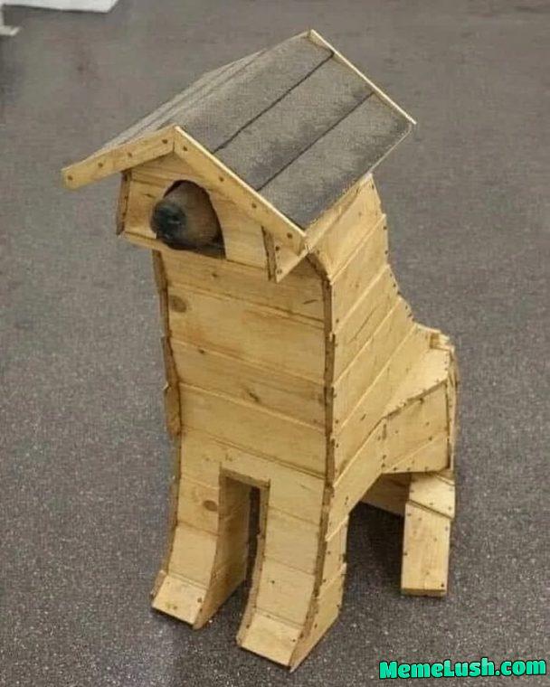 It seems that my dog liked his new house. It seems that my dog liked his new house.