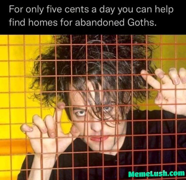 Seeking The Cure Seeking The Cure