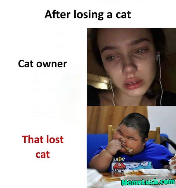 Had to make my own versionβ¦ Had to make my own versionβ¦