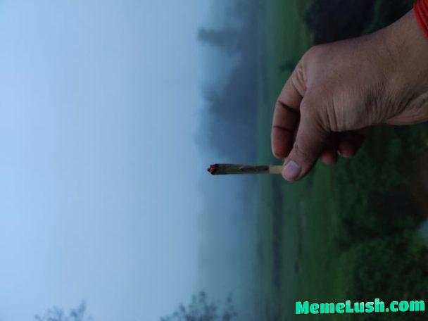 What a beautiful Tree!!! What a beautiful Tree!!!