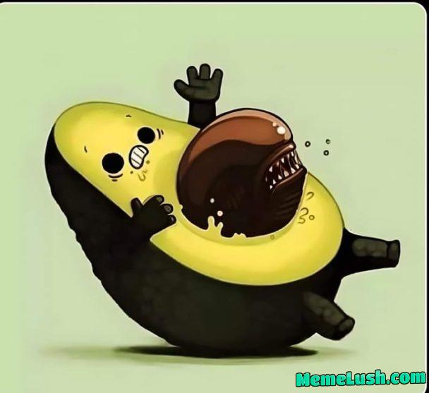 Healthy, but at what cost? Healthy, but at what cost?