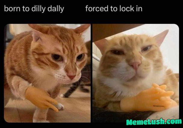 Memes i found on my phone#3