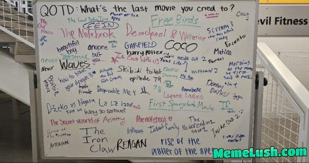 What you got? Last movie you cried to? I would want to say the Barbie movie What you got? Last movie you cried to? I would want to say the Barbie movie